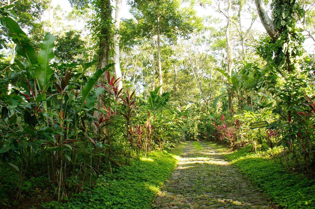 Takalik Maya Lodge El Asintal מראה חיצוני תמונה