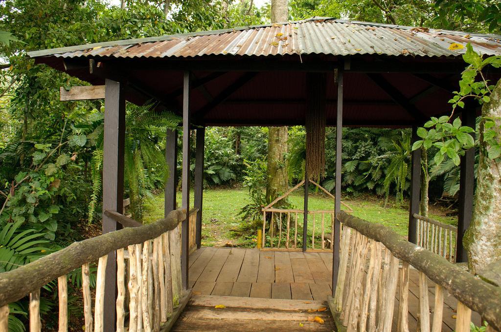 Takalik Maya Lodge El Asintal מראה חיצוני תמונה
