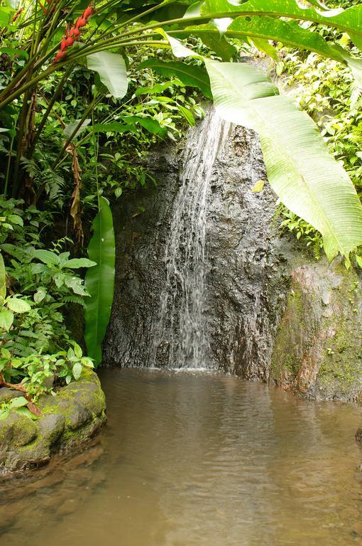 Takalik Maya Lodge El Asintal מראה חיצוני תמונה