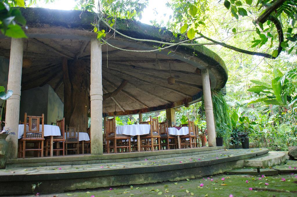 Takalik Maya Lodge El Asintal מראה חיצוני תמונה